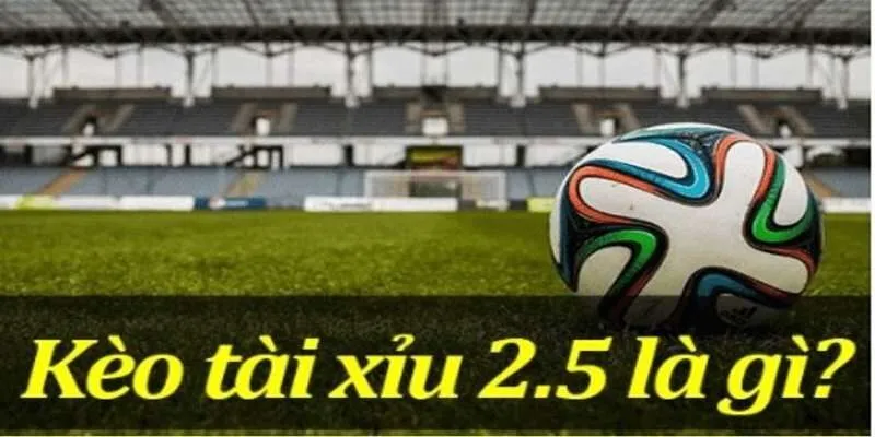 tai-xiu-2-5-1